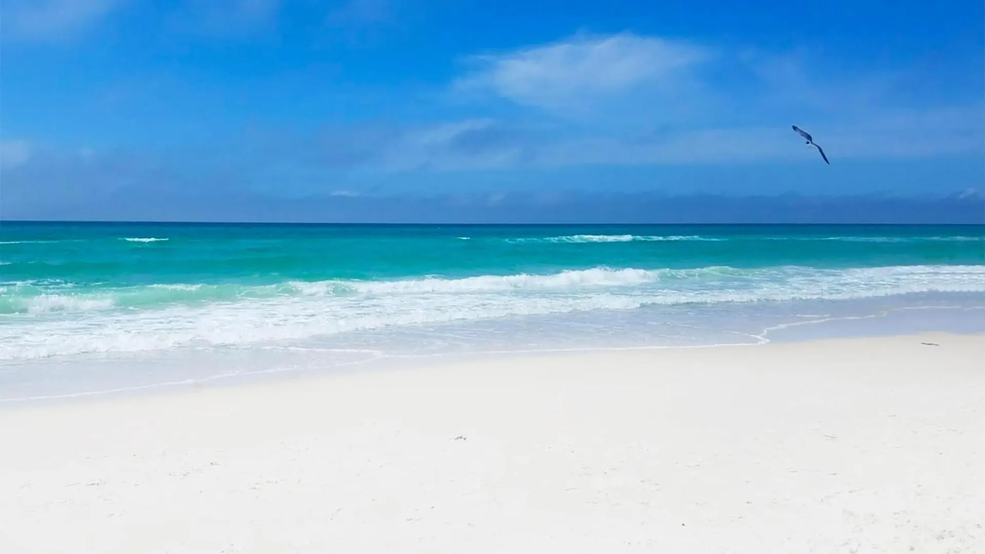 Horizon South 74F Apartment Panama City Beach 0*,  United States